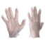 Перчатки виниловые, КОМПЛЕКТ 5 пар (10 шт.), размер M (средний), белые, PACLAN, 540, 541, 407540/407541