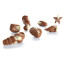 Конфеты шоколадные MELBON "Морские фигуры" из молочного и белого шоколада с пралине, 250 г, 3800104700014