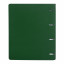 Тетрадь на кольцах БОЛЬШАЯ А4 (240х310 мм), 120 листов, под кожу, клетка, BRAUBERG "Joy", зелёный/светло-зелёный, 404508