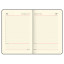 Ежедневник недатированный А5 (138х213 мм) BRAUBERG "Stylish", кожзам, гибкий, 160 л., бирюзовый, 111862