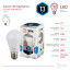 Лампа светодиодная ЭРА, 13 (110) Вт, цоколь E27, груша, холодный белый свет, 30000 ч., LED smdA65-13W-840-E27