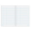 Книга учета 48 л., пустографка, обложка из мелованного картона, блок офсет, (А4 200х290 мм), STAFF, 130212