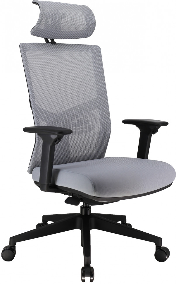 Эргономичное кресло Everprof Fuji (Фуджи) Сетка Серый