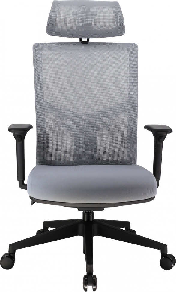 Эргономичное кресло Everprof Fuji (Фуджи) Сетка Серый