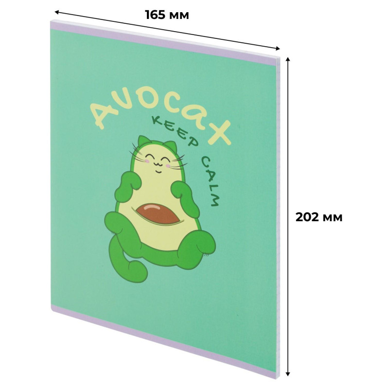 Тетрадь общая А5 48л №1School Avocat зел,клет,скреп, ВД-лак