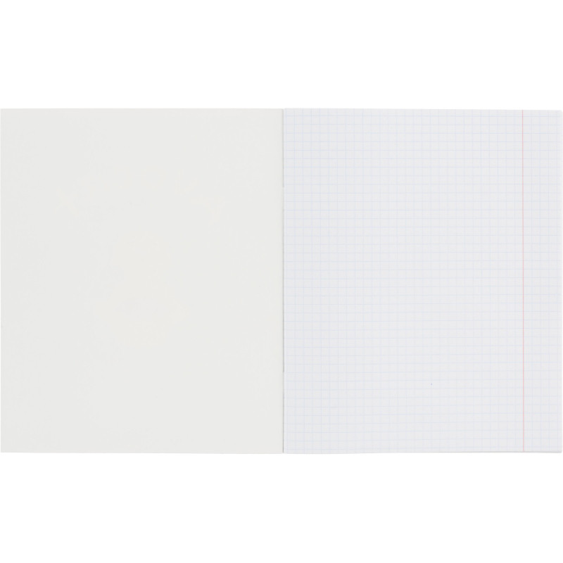 Тетрадь общая А5 48л №1School Avocat зел,клет,скреп, ВД-лак