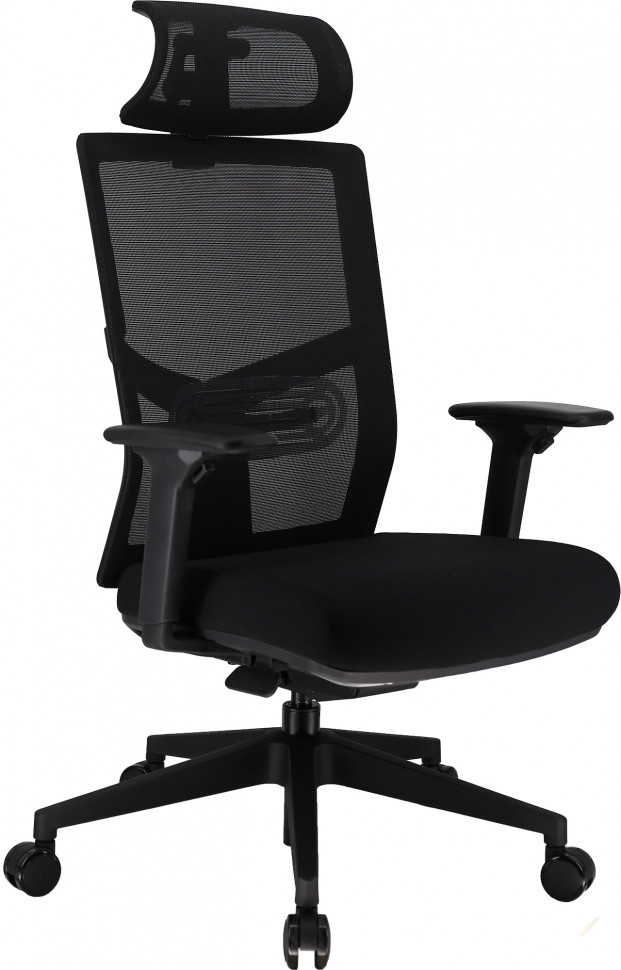 Эргономичное кресло Everprof Fuji (Фуджи) Сетка Черный