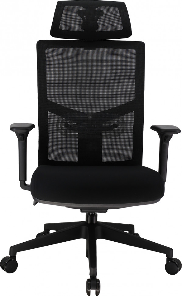 Эргономичное кресло Everprof Fuji (Фуджи) Сетка Черный