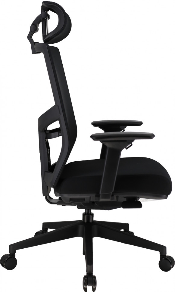 Эргономичное кресло Everprof Fuji (Фуджи) Сетка Черный