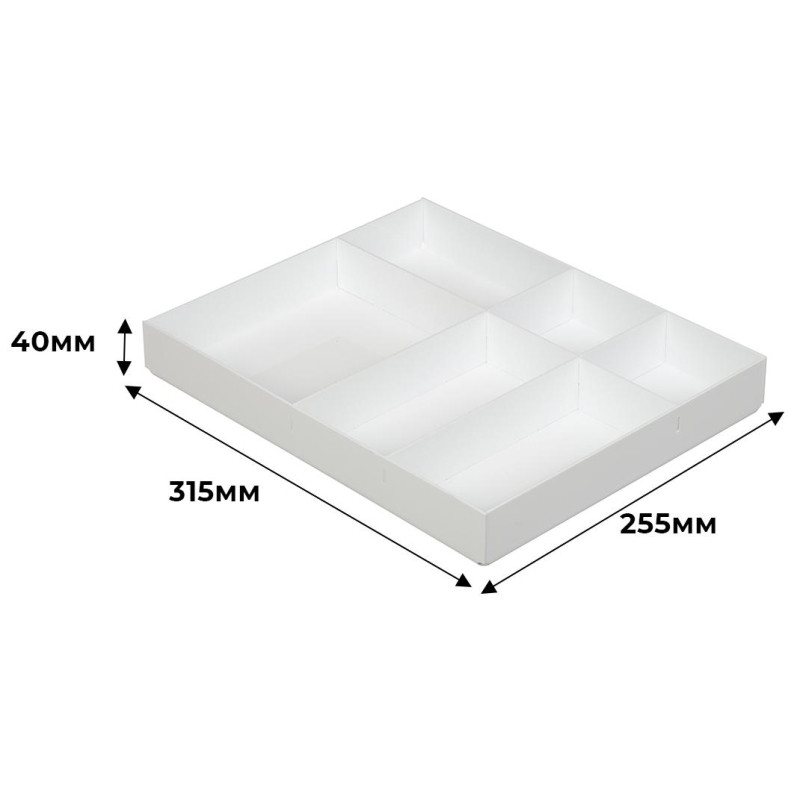 Лоток горизонтальный вложение в бокс или ящик стола, 6 отделений,40х255х315