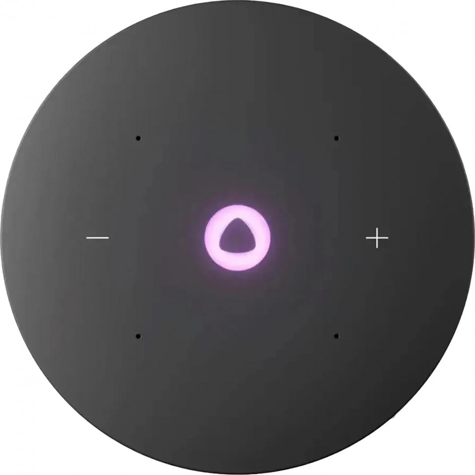 Умная колонка Яндекс Станция Мини 3 Про, Zigbee, серый (YNDX-00059GRY)