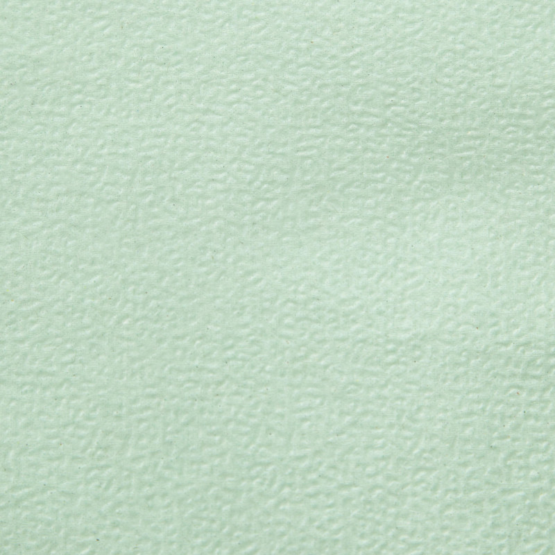 Салфетки бумажные Luscan Profi Pack 1сл24х24пастель салатовые 400 шт/уп