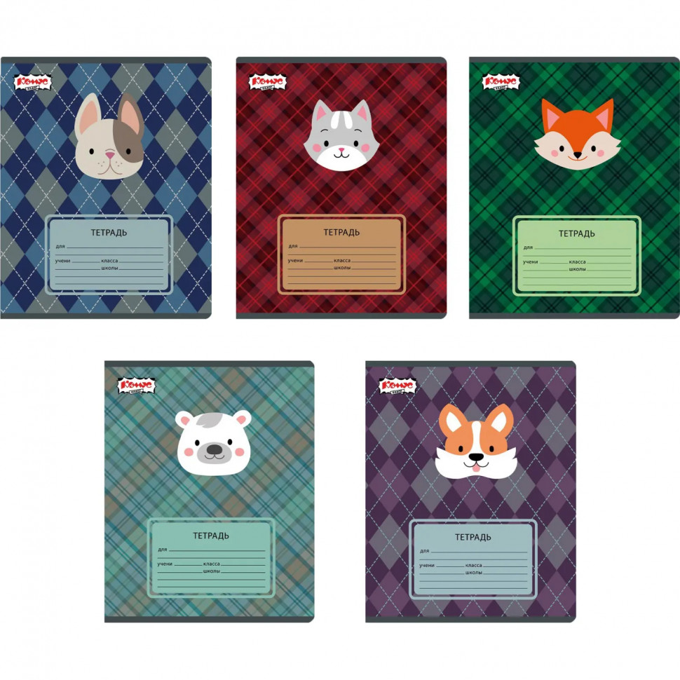 Тетрадь школьная А5 18л клетка Комус Класс Преппи, в ассортименте, 2021689