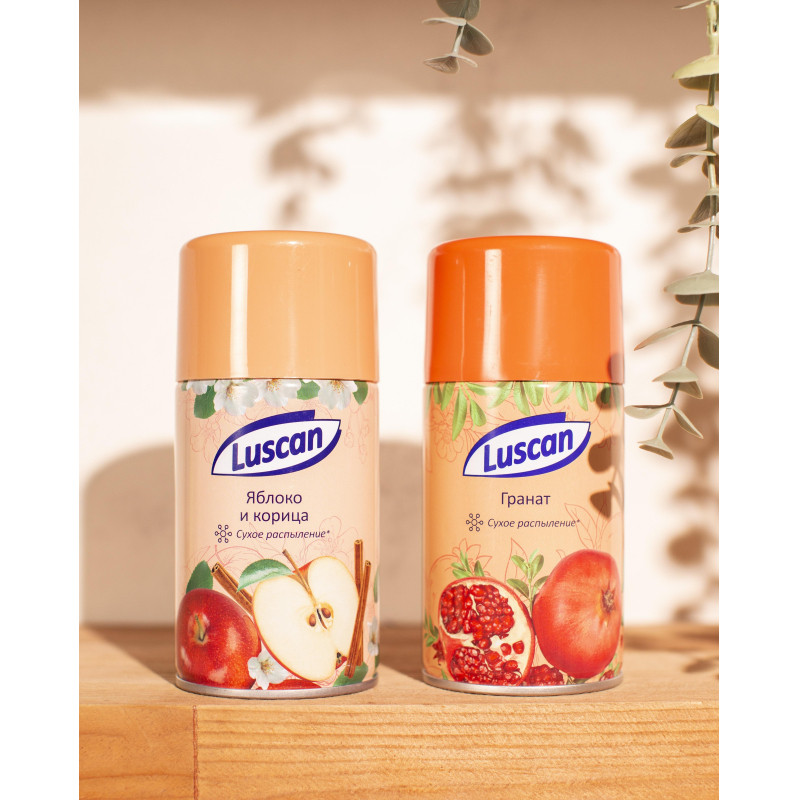 Баллон сменный для автоосвежителя Luscan 250мл Яблоко и корица сухое распыл