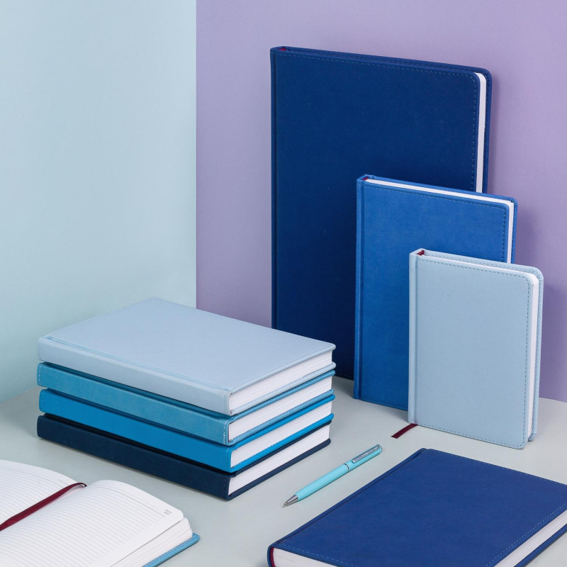 Ежедневник недатированный А5 145 х 205 мм Velvet синий 272 стр. 3-115/01