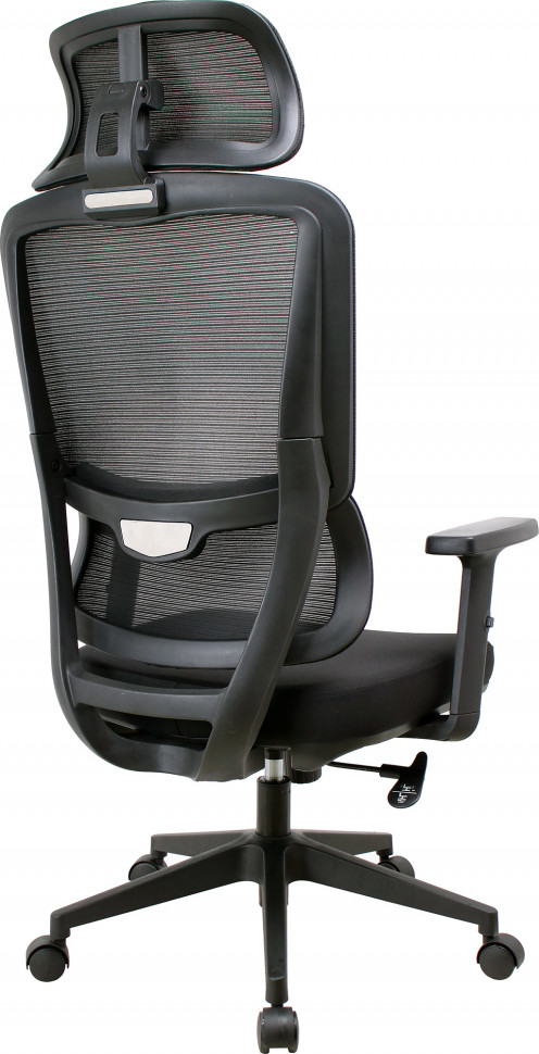 Эргономичное кресло Everprof Work (Ворк) Сетка Черный