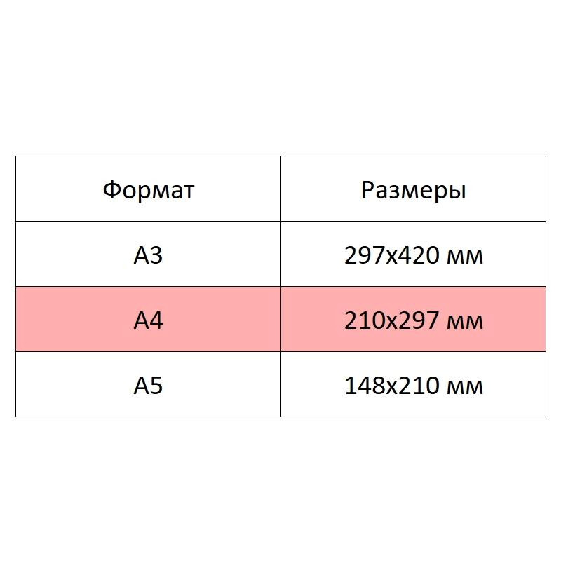 Альбом для рисования Kroyter 40л А4,склейка,блок 100гр, Мяу 00041