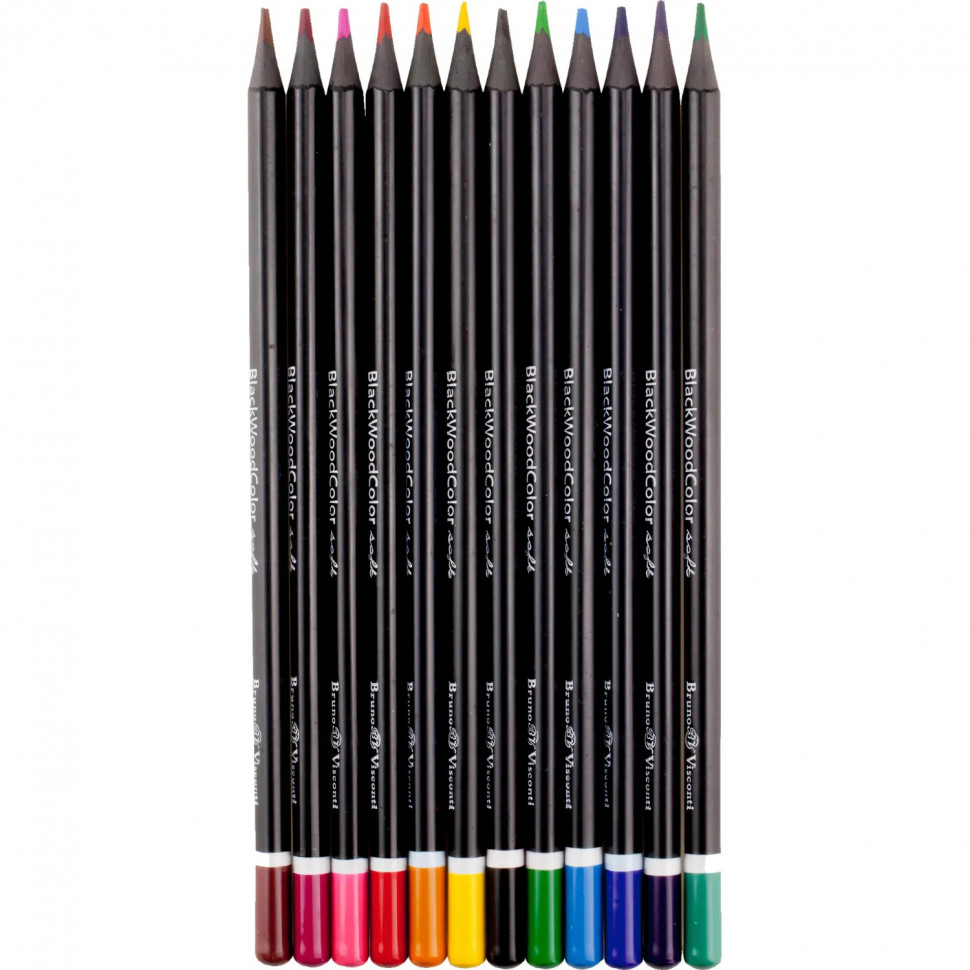 Карандаши цветные ПЛАСТИКОВЫЕ  BlackWoodColor , 12цв, 30-0097