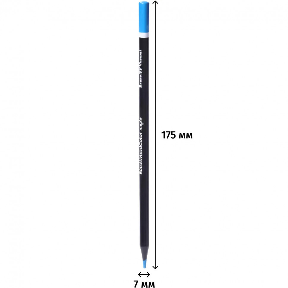 Карандаши цветные ПЛАСТИКОВЫЕ  BlackWoodColor , 12цв, 30-0097