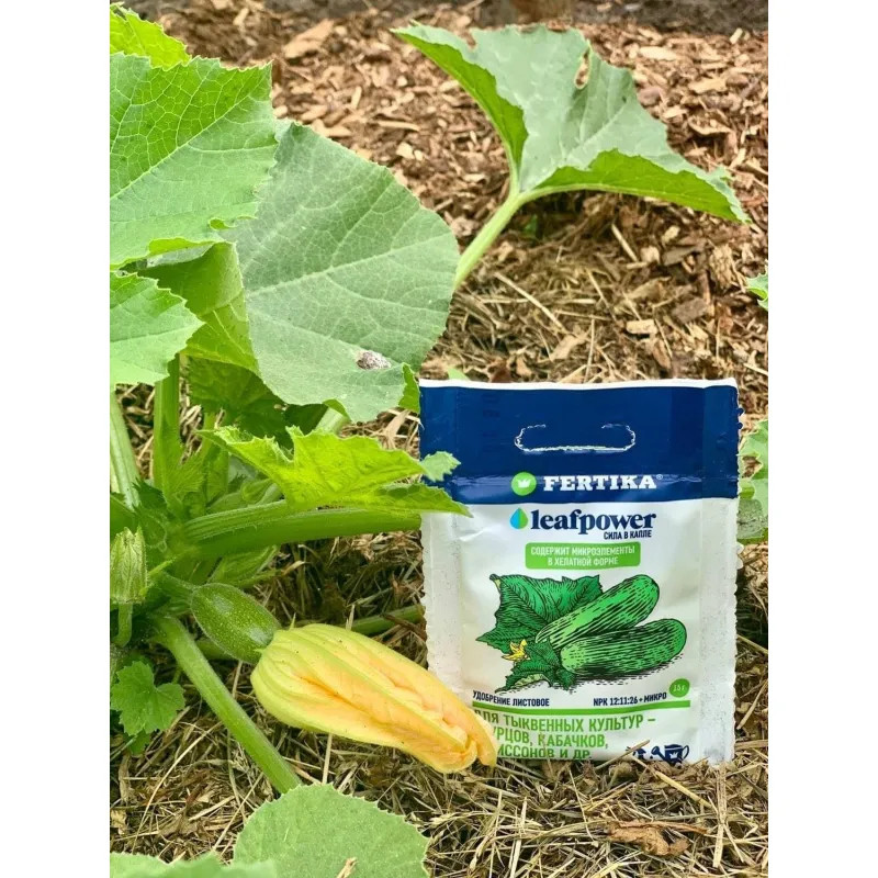 Удобрение Leaf Power ДЛЯ ТЫКВЕННЫХ КУЛЬТУР 50г, Ф04192