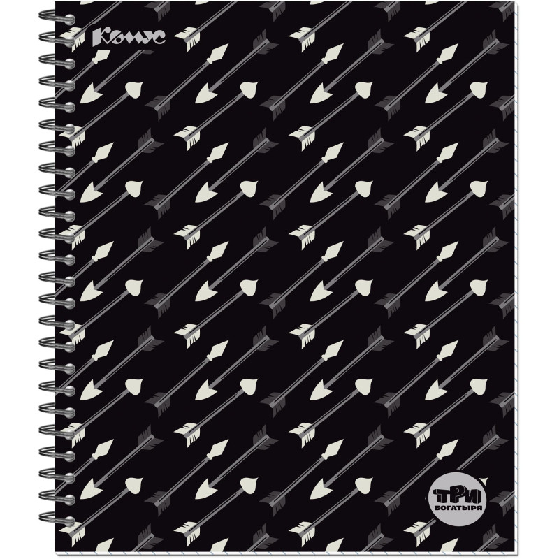 Тетрадь общая Комус Три богатыря Стрелы А5, 80л., клетка, спираль, ВБ-лак