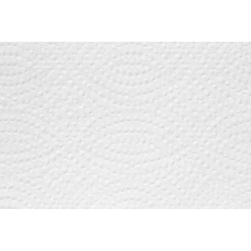 Полотенца бумажные д/дисп. Luscan Professional Z слож2 сл144л20пач/уп