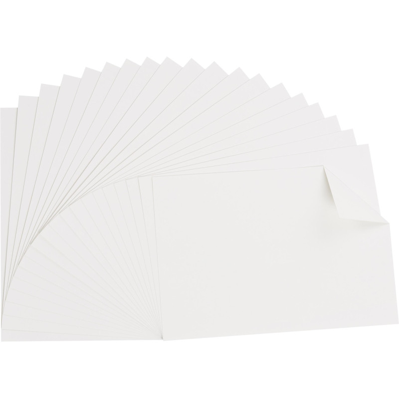 Картон белый Выбор есть Отличник 20л А4 мелован.пакет