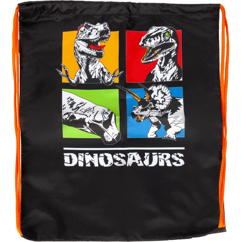 Мешок для обуви Dinosaurs, 330x420 мм, МО-20