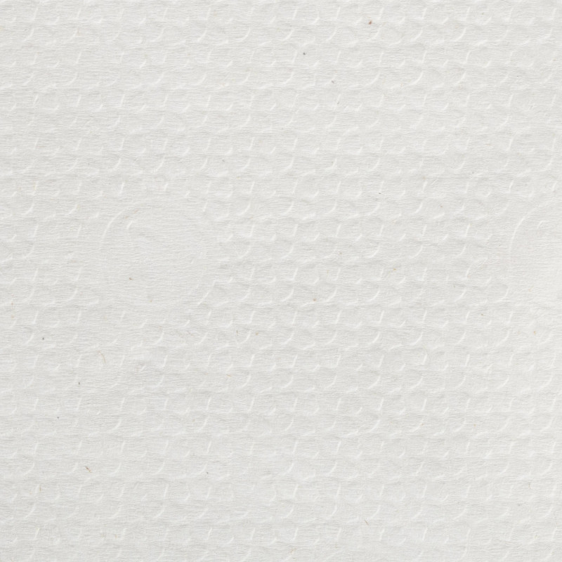 Салфетки бумажные бигпак, 24х24, 250 листов/уп.