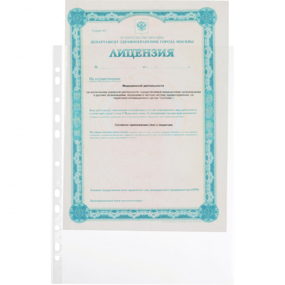 Файл-вкладыш А4 25 мкм, Выбор есть, гладкие, с перф, 100шт./уп