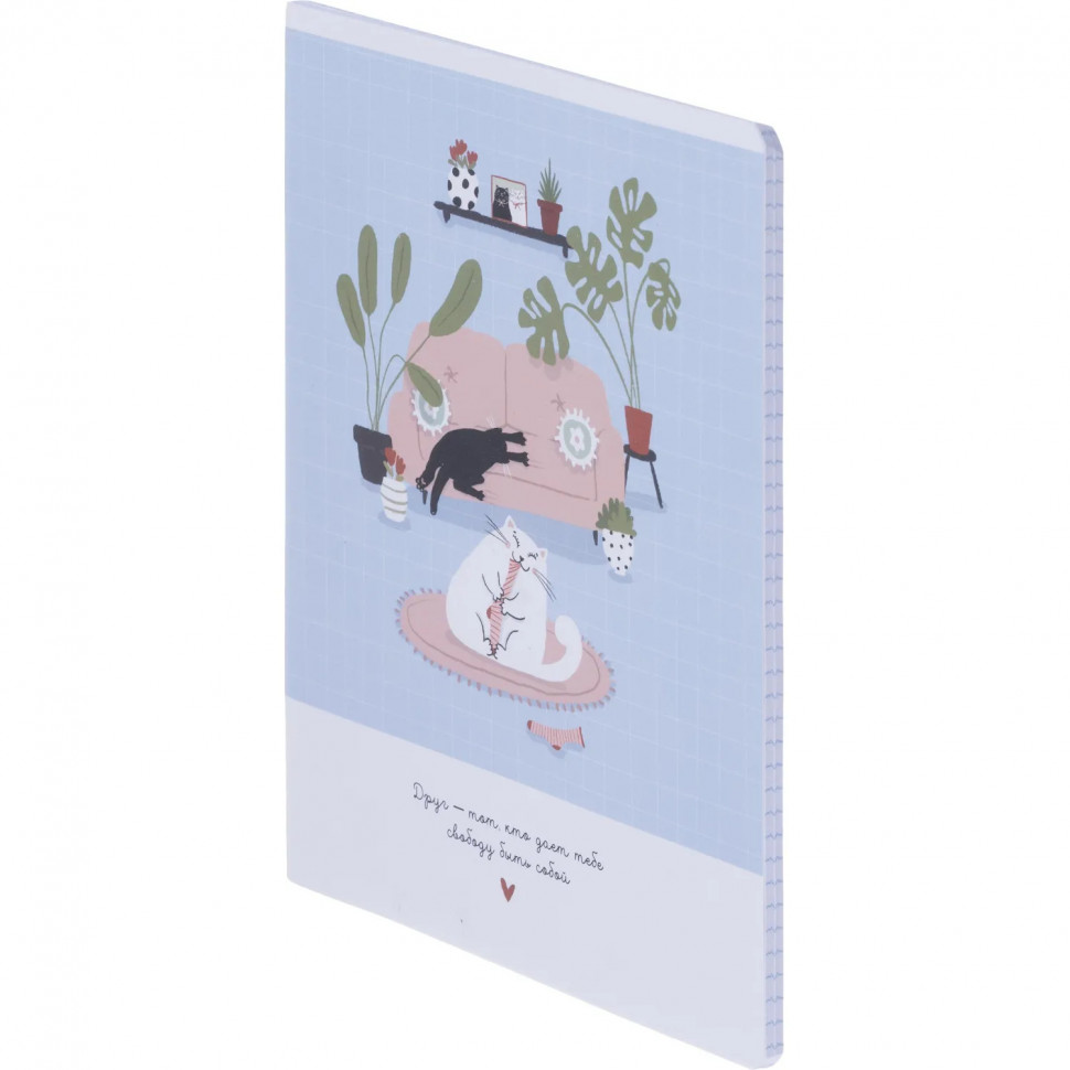 Тетрадь общая, BS, А5, 48л., клетка, скрепка. Mur-Mur, шалость N4158