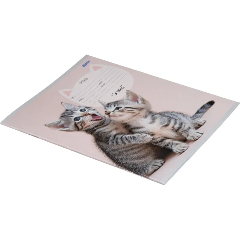Тетрадь коса линия 12 л. Милые парочки котиков, ассорти, 12-4159