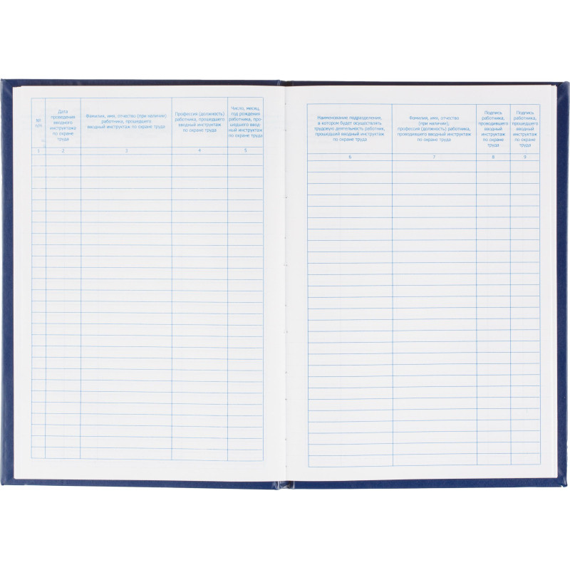 Журнал регистрации вводного инструктажа по охране труда, бумвинил,96л,офсет