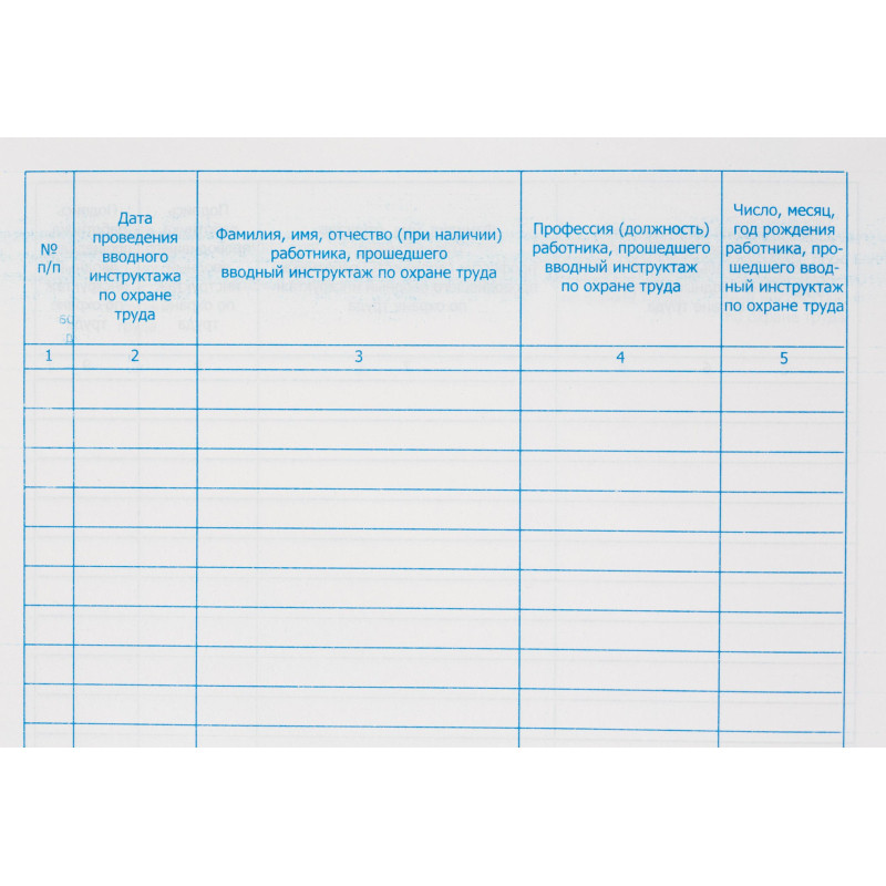 Журнал регистрации вводного инструктажа по охране труда, бумвинил,96л,офсет