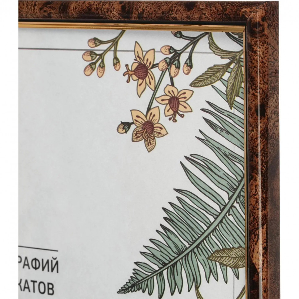 Рамка А3 30x40см Комус/ATTACHE пластиковый багет 14мм коричневая/золотистая