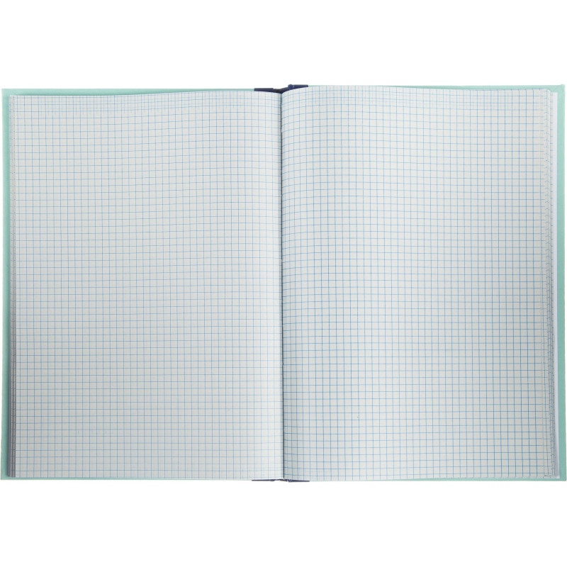 Книга учета амбарная в клетку 96л.обл.плотн.картон г/б