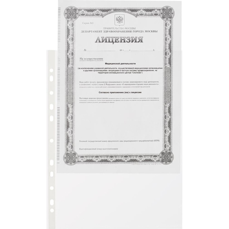 Файл-вкладыш А4 Attache Economy,Стандарт ,100шт./уп.с перф.Россия