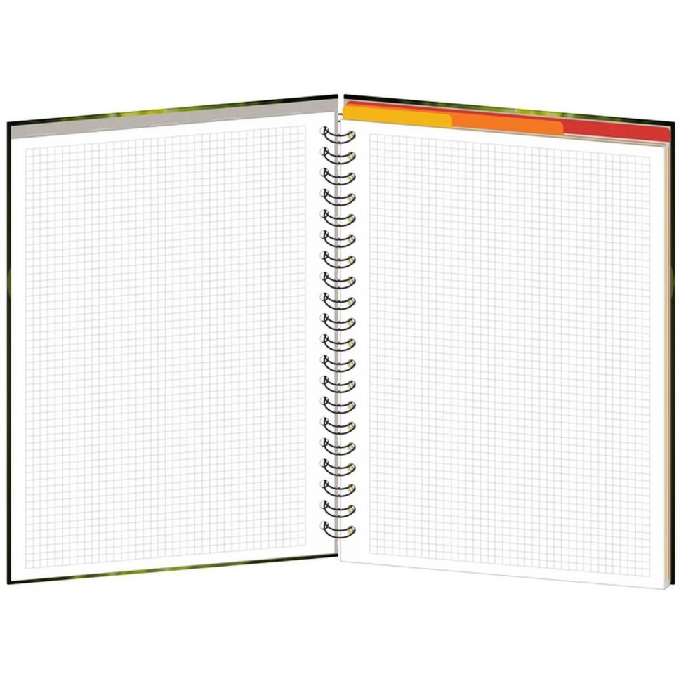 Бизнес-тетрадь Be Happy А4, 120л, 200х274, 3 разд, клетка, 0002-04