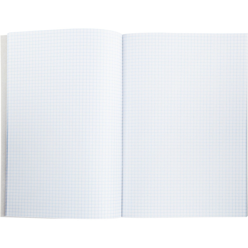 Книга учета канц.облож.картон (клетка) 48л. блок офсет Книга учета канц.облож.картон (клетка) 48л. блок офсет