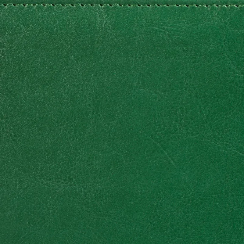 Ежедневник датированный 2026, зелен, А5, 148x218 мм, 352 стр,АТТАСНЕ Agenda