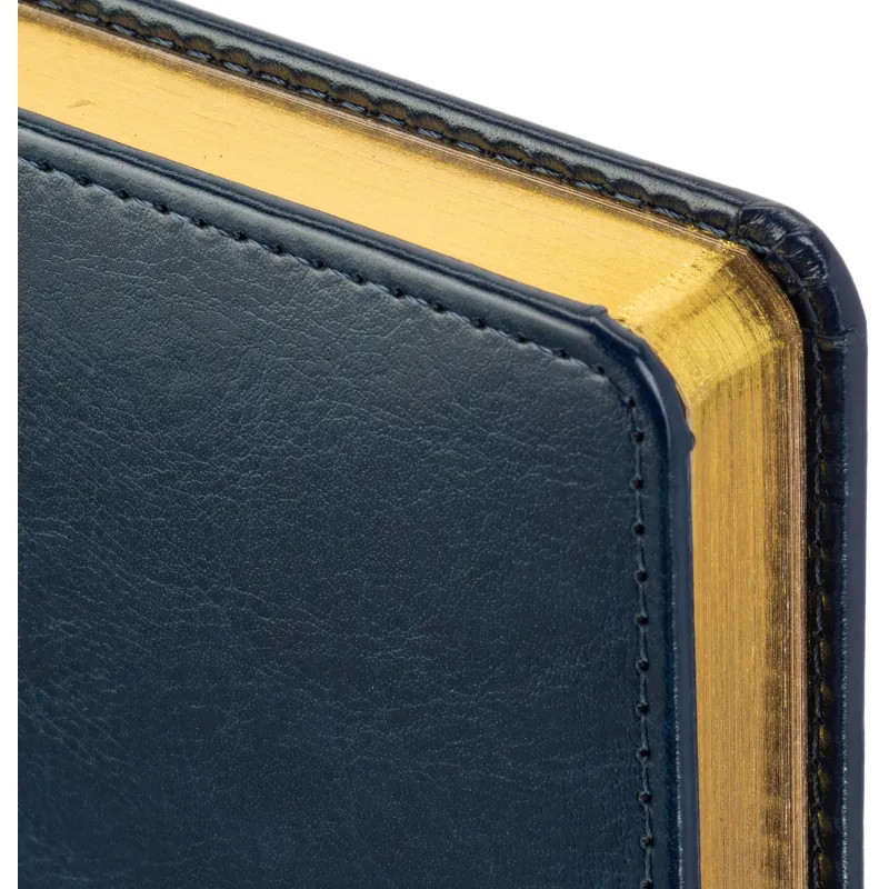 Ежедневник датированный 2026 А5+ SIDNEY NEBRASKA синий, зол обрез 3-125/04