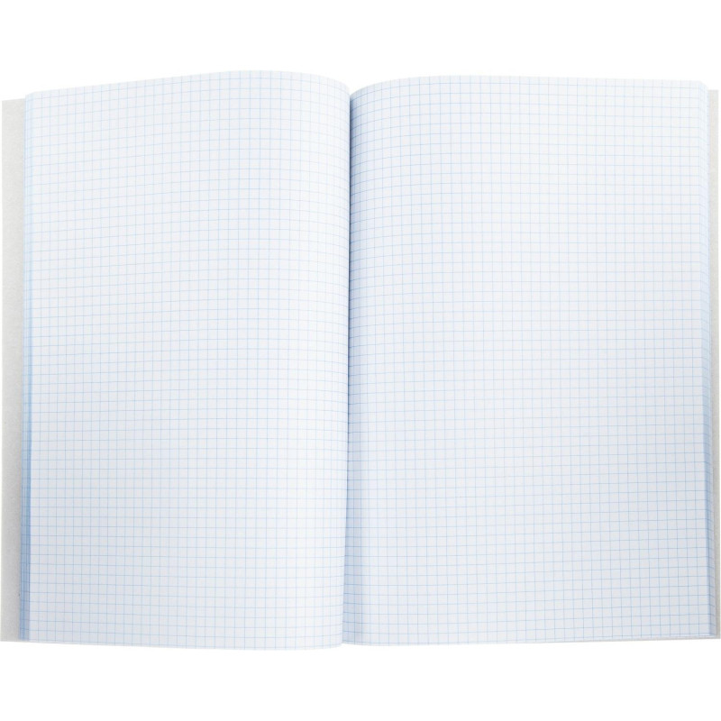 Книга учета 96л. в клетку обл.картон