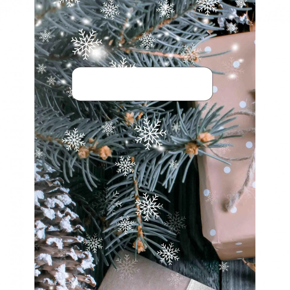 Пакет подарочный пластиковый Нов. подарки 45х38 НГ (50шт/ уп) арт.н00223879