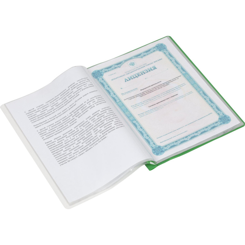 Папка файловая на 20 файлов Attache Economy А4, 160мкм, зеленая