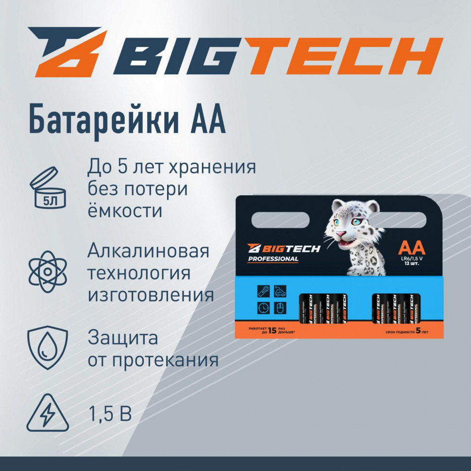 Батарейка BigTech Professional АA/LR6 уп/12шт