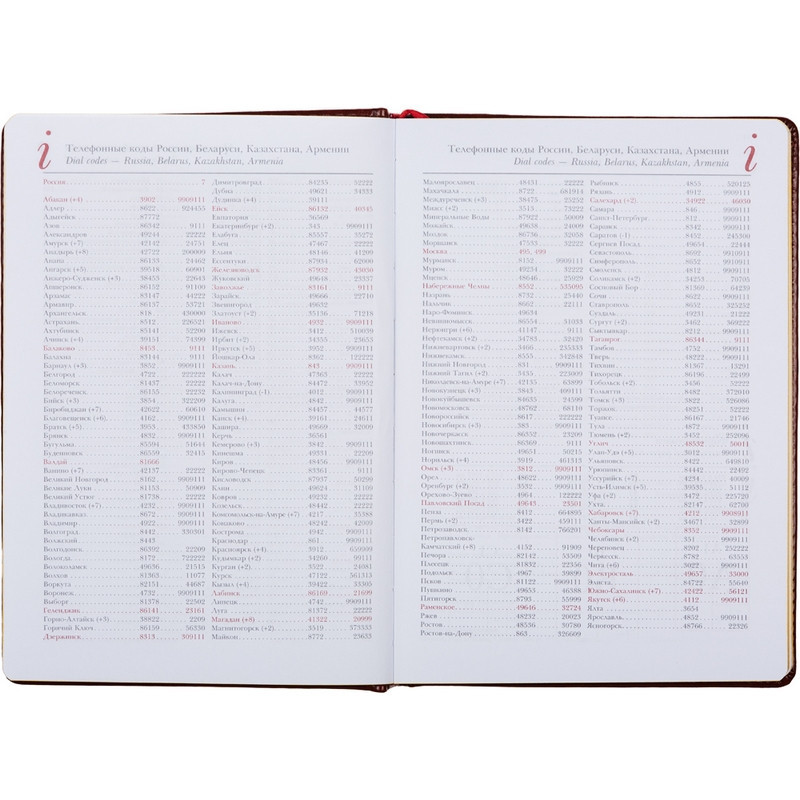 Ежедневник недатированный коричнев,А5,145х205,136л,Sidney NEBRASKA 3-128/03