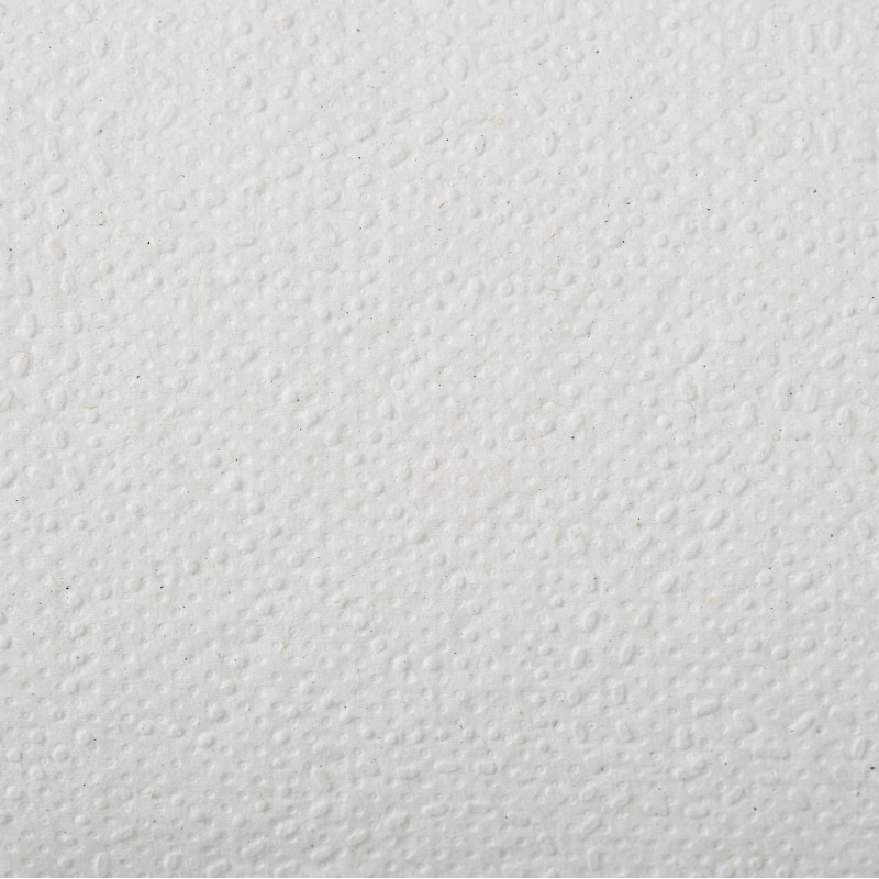 Полотенца бумажные д/дисп. Luscan Professional M-слож2слбелвтор150л21пач/уп