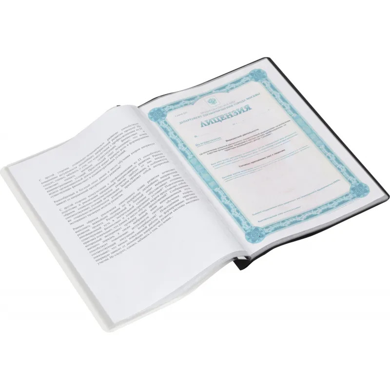 Папка файловая на 30 файлов A4, 160мкм, черная