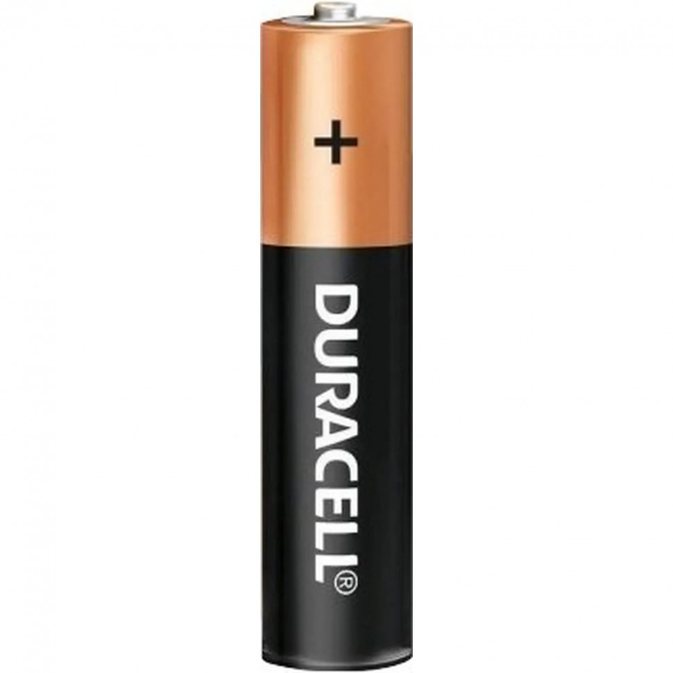 Батарейка DURACELL Basic LR03 AAA BL10 Alkaline 1.5V (10/80) (10шт/уп)