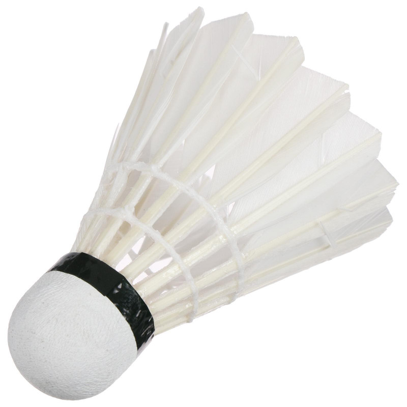 Набор  воланов для бадминтона, перо, в тубе,12 шт 1684538